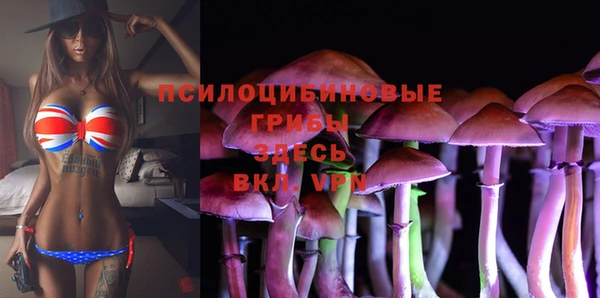 МДПВ Алексин