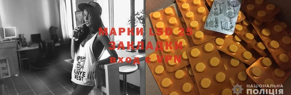 PSILOCYBIN Остров