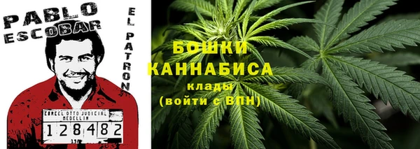 PSILOCYBIN Остров